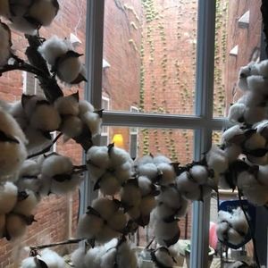 Meet your Posher, Kelli